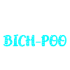 Bich-Poo