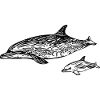 Dolphins Swimming - Baby Dolphin Design