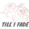Till I Fade