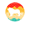 Lion Retro