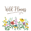 Wild Flowers, Wildflowers, Flowers