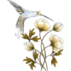 Oiseau