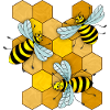 Insects