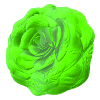 Rose Vert