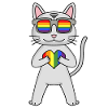 Chat LGBT Devon Rex Rainbow
