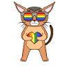 LGBT Cat Chausie Rainbow