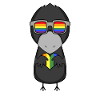 LGBT Animal Crow Arc-en-ciel