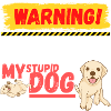 Warning Stupid Dog
