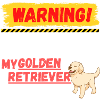 Warning Golden Retriever