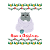 Have a Christmas - Grumpy