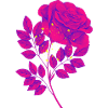 Pink Violet T-shirt