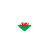 Wales Flag ECG