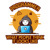 Programmer Looks Like Softwareentwickler Coder