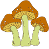 champignon
