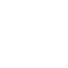 Officer