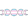 Not A Phase Transgender Flag