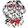 Funny MALTESER Glasses Dog Dog