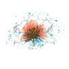 Die Anatomie einer Blume