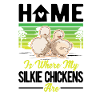 Silk Chicken Home Silkie Chicken