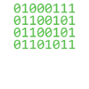 Programmer Coder Software Developer
