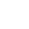 Shrimp