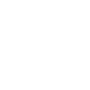 Programmer Coder Software Developer