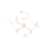 Square