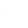 US Flag Llama Sunglasses