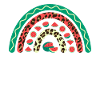 Watermelon Cute Summer Rainbow Leopard