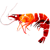 Shrimp_red