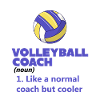 Volleyball Coach Definition