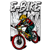 Pedelec E-Bike