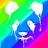 Panda | Panda Bear | Asia | Animals