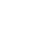 Ride Pedelec E-Bike