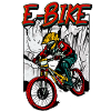 Pedelec E-Bike