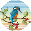 Bunter Vogel
