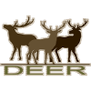 Cerf