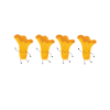 Team Chanterelle
