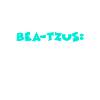 Bea-Tzus