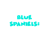 Blue Spaniels
