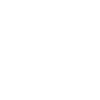 White pirate skull