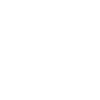 Bull-Boxer Mom