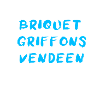 Briquet Griffon Vendeen