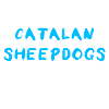 Catalan Sheepdog
