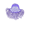 Jellyfish est mon Animal Jellyfish