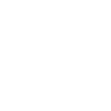 Bohemian Shepherd Dad