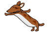 Qigong Qi Gong Dog Chigong