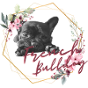 Français Bouledogue