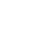 Qigong Qi Gong Cat Chigong