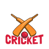 Cricket bats Cricket players